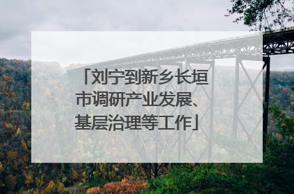 刘宁到新乡长垣市调研产业发展、基层治理等工作