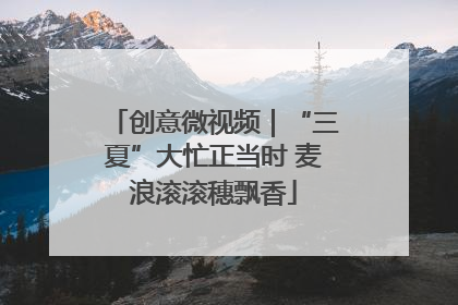 创意微视频｜“三夏”大忙正当时 麦浪滚滚穗飘香