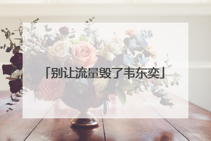 别让流量毁了韦东奕