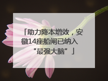 助力降本增效，安徽14座船闸已纳入“最强大脑”