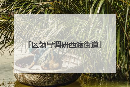区领导调研西渡街道