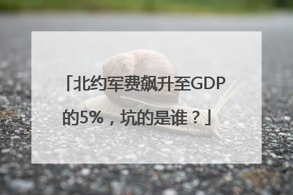 北约军费飙升至GDP的5%，坑的是谁？