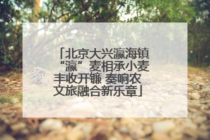 北京大兴瀛海镇“瀛”麦相承小麦丰收开镰 奏响农文旅融合新乐章