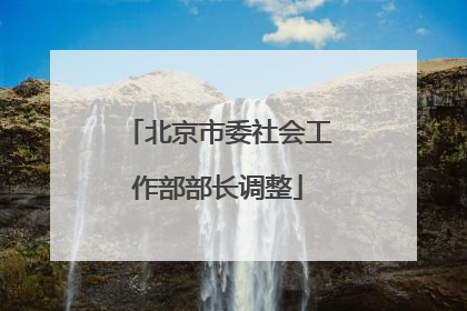 北京市委社会工作部部长调整