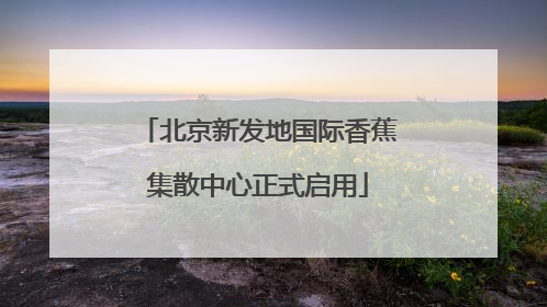 北京新发地国际香蕉集散中心正式启用