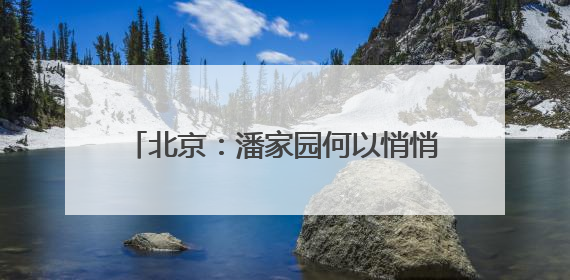 北京：潘家园何以悄悄成为年轻人心头好？