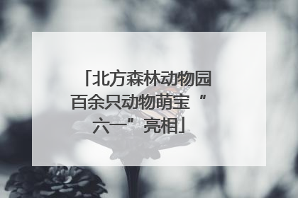 北方森林动物园百余只动物萌宝“六一”亮相