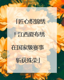 匠心织锦绣！江西夏布绣在国家级赛事斩获殊荣