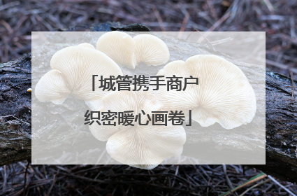 城管携手商户 织密暖心画卷