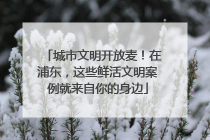 城市文明开放麦！在浦东，这些鲜活文明案例就来自你的身边