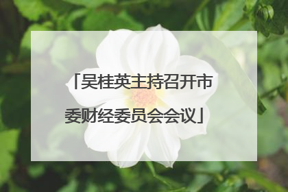 吴桂英主持召开市委财经委员会会议