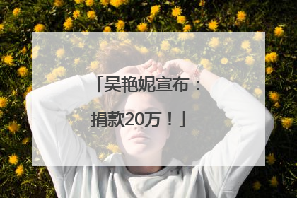 吴艳妮宣布：捐款20万！