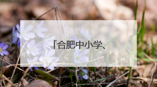 合肥中小学、幼儿园暑假时间，定了！