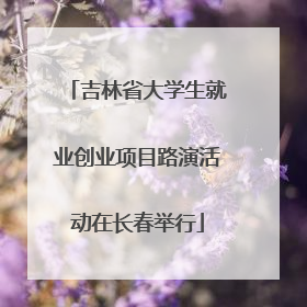 吉林省大学生就业创业项目路演活动在长春举行