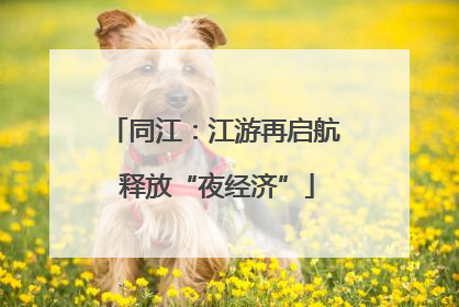 同江：江游再启航 释放“夜经济”