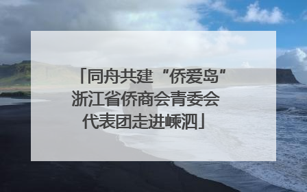同舟共建“侨爱岛” 浙江省侨商会青委会代表团走进嵊泗