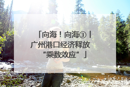 向海！向海③丨广州港口经济释放“乘数效应”