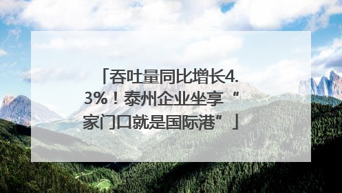 吞吐量同比增长4.3%！泰州企业坐享“家门口就是国际港”