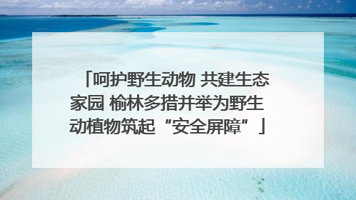 呵护野生动物 共建生态家园 榆林多措并举为野生动植物筑起“安全屏障”