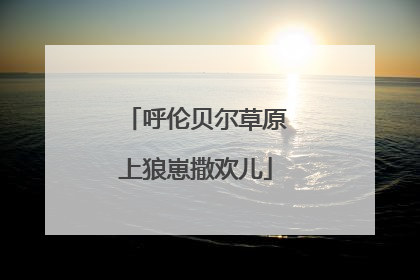 呼伦贝尔草原上狼崽撒欢儿