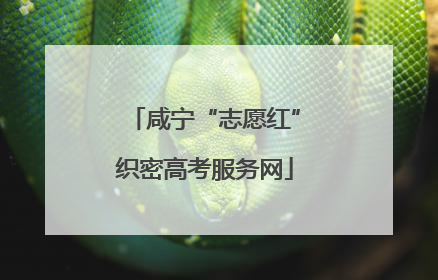 咸宁“志愿红”织密高考服务网
