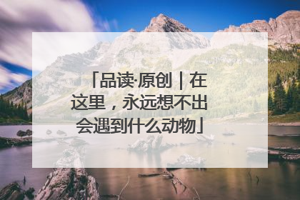 品读·原创｜在这里，永远想不出会遇到什么动物
