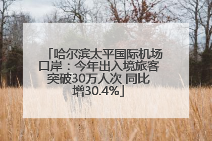 哈尔滨太平国际机场口岸：今年出入境旅客突破30万人次 同比增30.4%