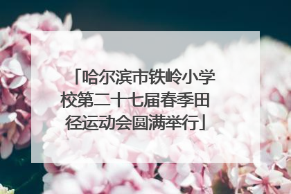 哈尔滨市铁岭小学校第二十七届春季田径运动会圆满举行