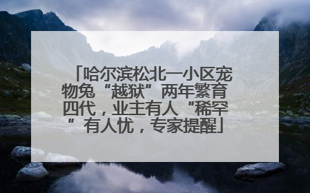 哈尔滨松北一小区宠物兔“越狱”两年繁育四代，业主有人“稀罕”有人忧，专家提醒