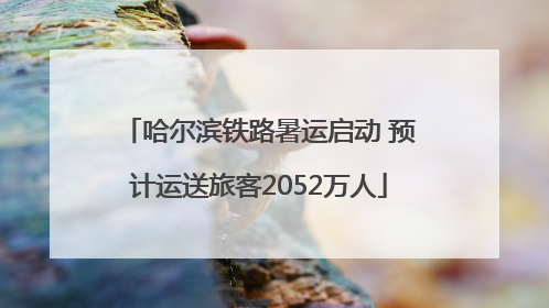 哈尔滨铁路暑运启动 预计运送旅客2052万人