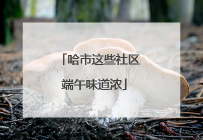 哈市这些社区端午味道浓