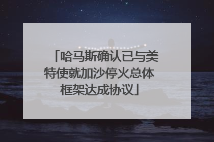 哈马斯确认已与美特使就加沙停火总体框架达成协议