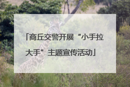 商丘交警开展“小手拉大手”主题宣传活动