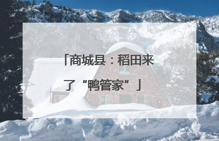 商城县：稻田来了“鸭管家”