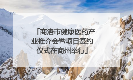 商洛市健康医药产业推介会暨项目签约仪式在商州举行