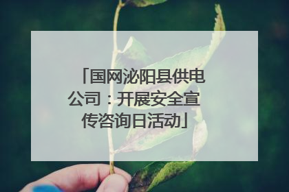 国网泌阳县供电公司：开展安全宣传咨询日活动