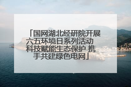 国网湖北经研院开展六五环境日系列活动 科技赋能生态保护 携手共建绿色电网