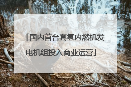 国内首台套氢内燃机发电机组投入商业运营