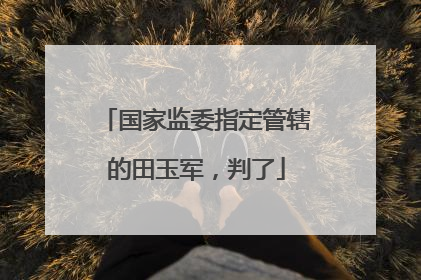 国家监委指定管辖的田玉军，判了