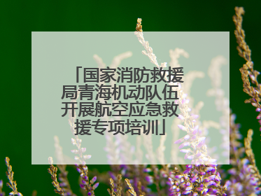 国家消防救援局青海机动队伍开展航空应急救援专项培训