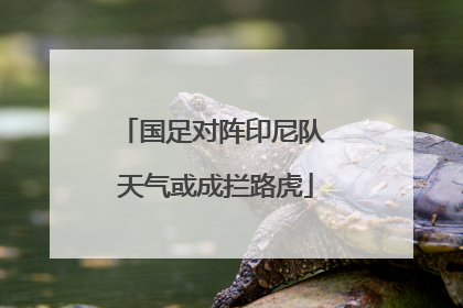 国足对阵印尼队 天气或成拦路虎