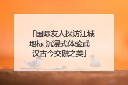 国际友人探访江城地标 沉浸式体验武汉古今交融之美