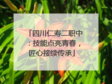 四川仁寿二职中：技能点亮青春，匠心接续传承