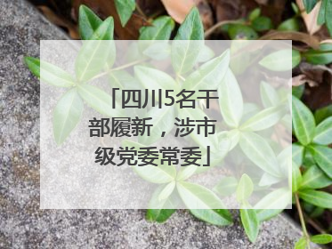 四川5名干部履新，涉市级党委常委