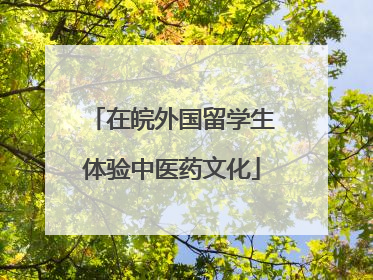 在皖外国留学生体验中医药文化