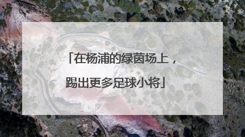 在杨浦的绿茵场上，踢出更多足球小将