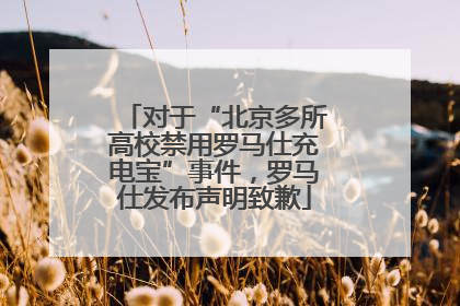 对于“北京多所高校禁用罗马仕充电宝”事件，罗马仕发布声明致歉