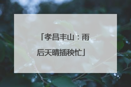 孝昌丰山：雨后天晴插秧忙