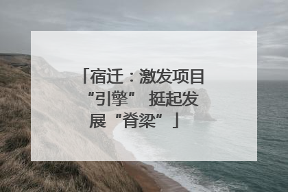 宿迁：激发项目“引擎” 挺起发展“脊梁”