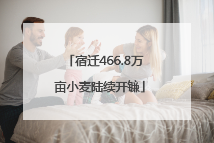 宿迁466.8万亩小麦陆续开镰